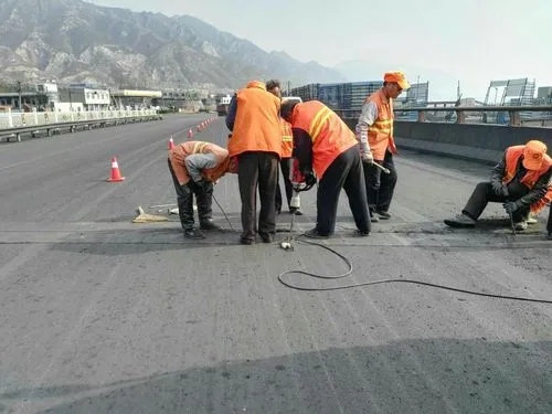 泰兴道路桥梁病害治理